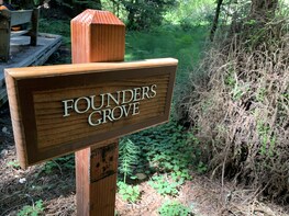 Muir Woods and Sausalito Tour