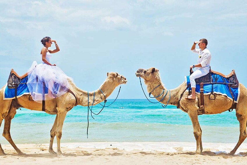 Bali Camel Ride on the Beach with Photo Session