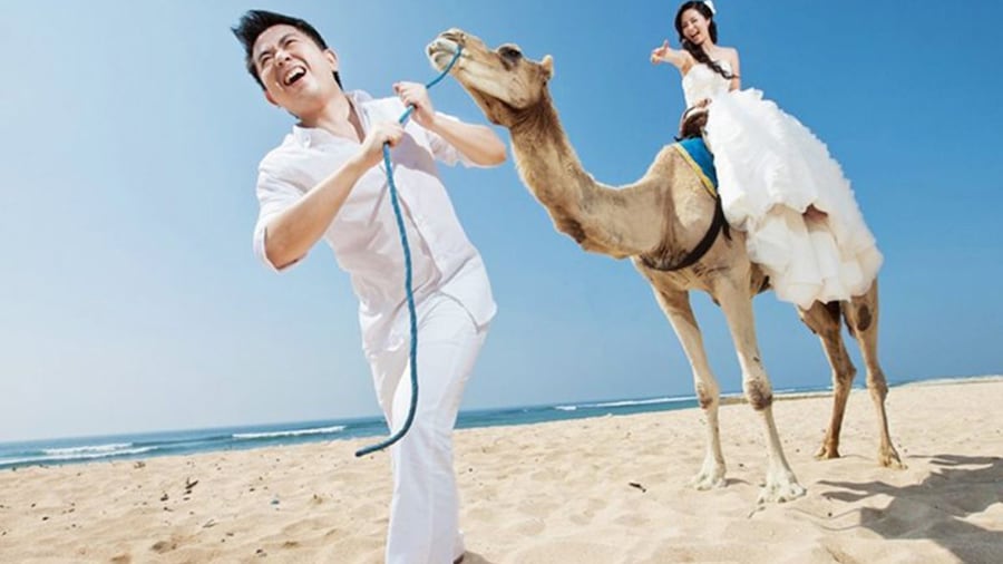 Bali Camel Ride on the Beach with Photo Session