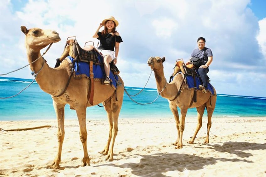 Bali Camel Ride on the Beach with Photo Session
