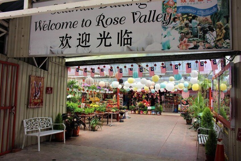 Rose Valley