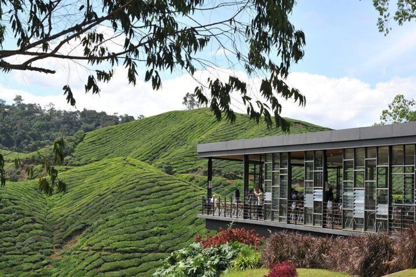  Enjoy the beautiful landscape in this sprawling hill station and visit the Boh Tea plantation