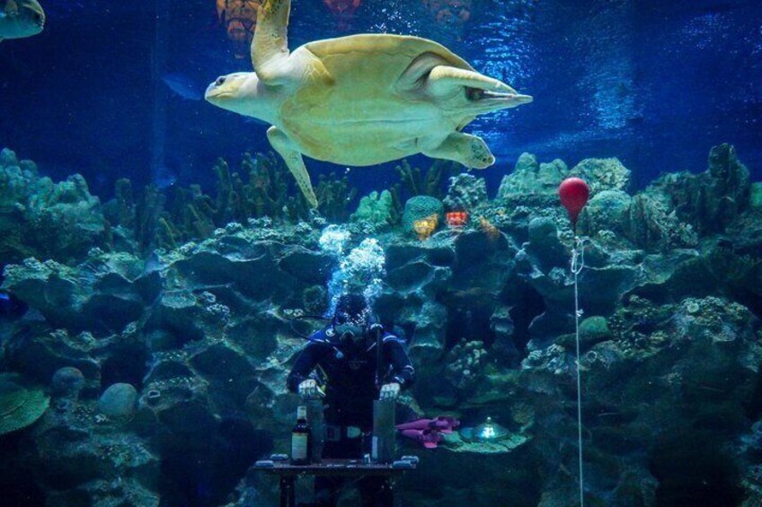 Aquaria KLCC Admission Ticket