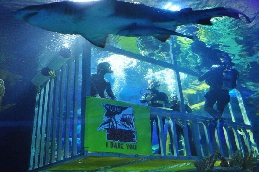 Aquaria KLCC Admission Ticket
