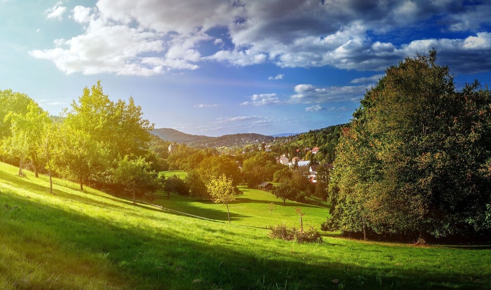 Day Tour through the Black Forest (8h, chauffeur, guide)