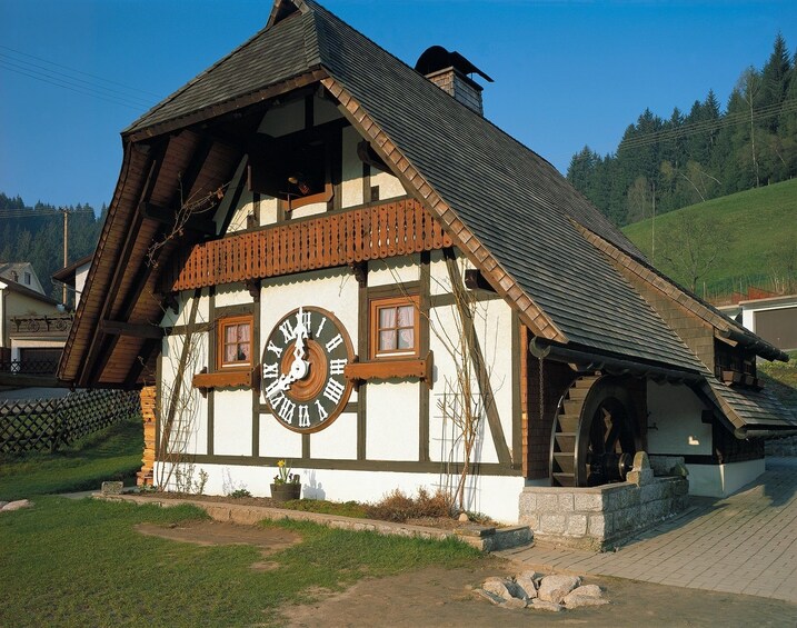 Day Tour through the Black Forest (8h, chauffeur, guide)