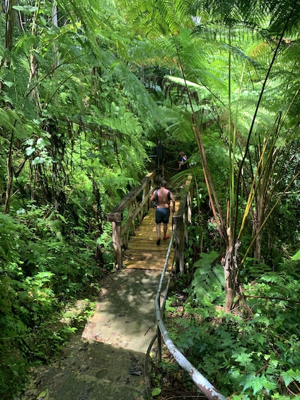 Rainforest River Adventure 