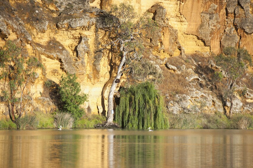 Murray River Highlights