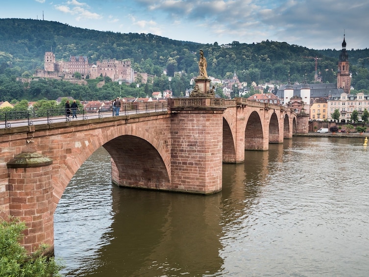 Private Heidelberg Highlights Walking Tour (2h with guide)