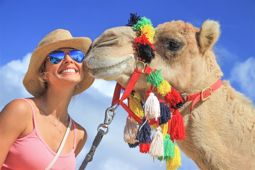 Los Cabos Outback Camel Ride 