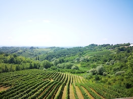 Zagreb Countryside Food & Wine Private Day
