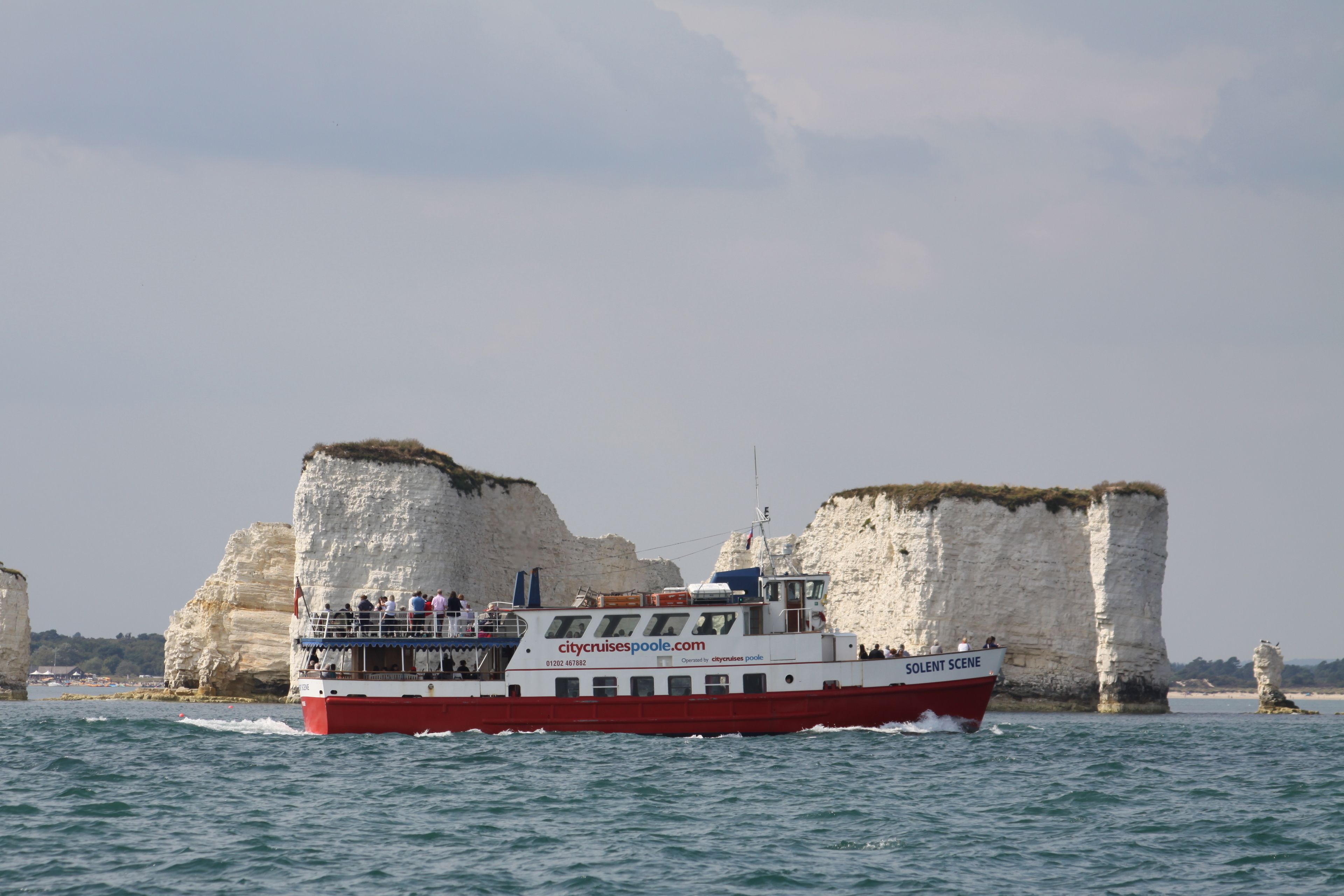 poole harbour wildlife boat trips