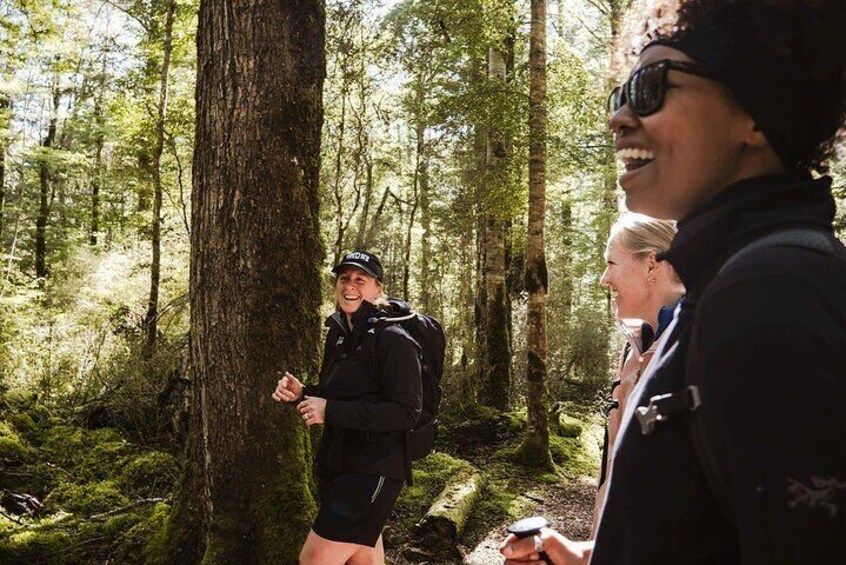 and enjoy an expertly guided hike on well formed trails on the Kepler Track