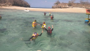 Pink Marine Tour