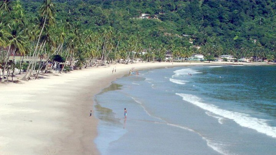 Maracas Bay