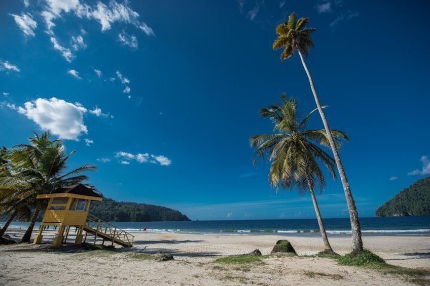 Maracas Beach Trip