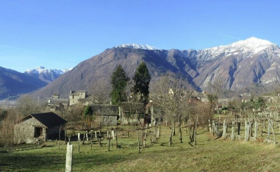 Guided Hiking Tour in the Ossola Valley with Wine Tasting