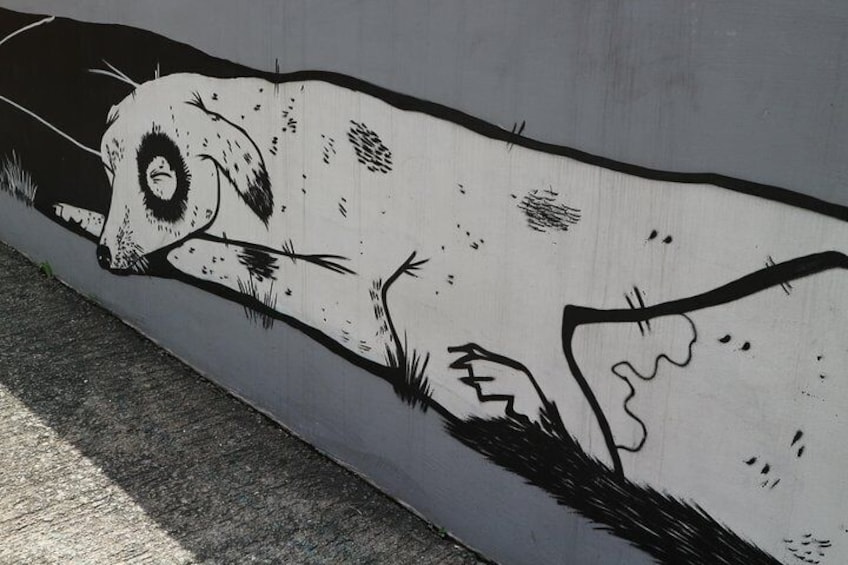 Discover the Best of Hong Kong Street Art - Private tour