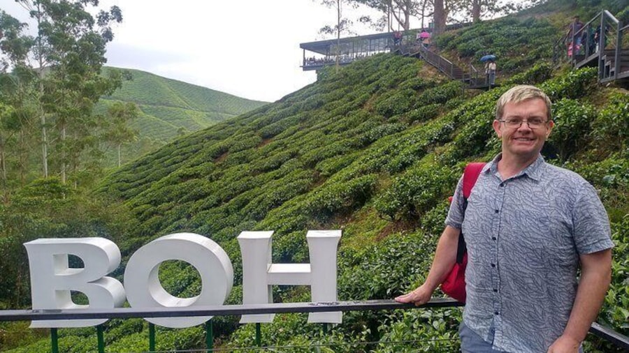 BOH Tea Plantation