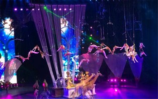 Evening Tour of Guangzhou Chimelong International Circus