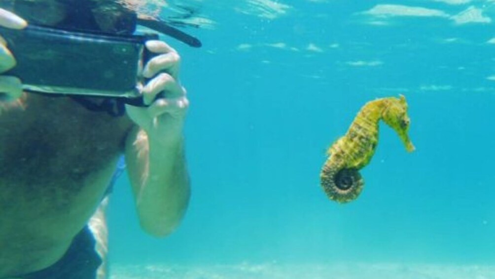 Private Lombok Snorkeling Tour at Gili Rengit & Gili Layar