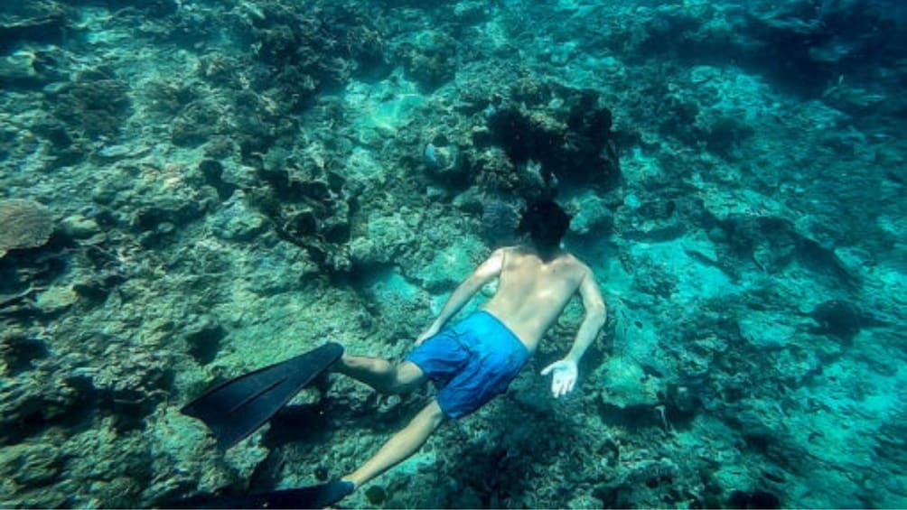 Private Lombok Snorkeling Tour at Gili Rengit & Gili Layar