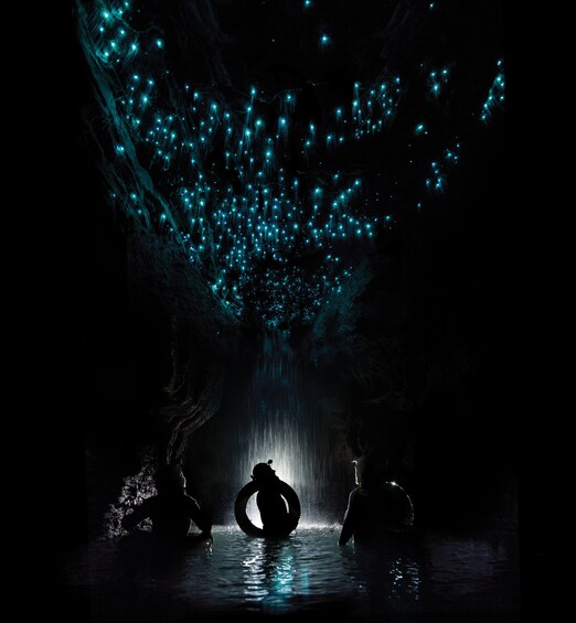 Hobbiton, Waitomo Black-water Rafting or 2 Cave Combo