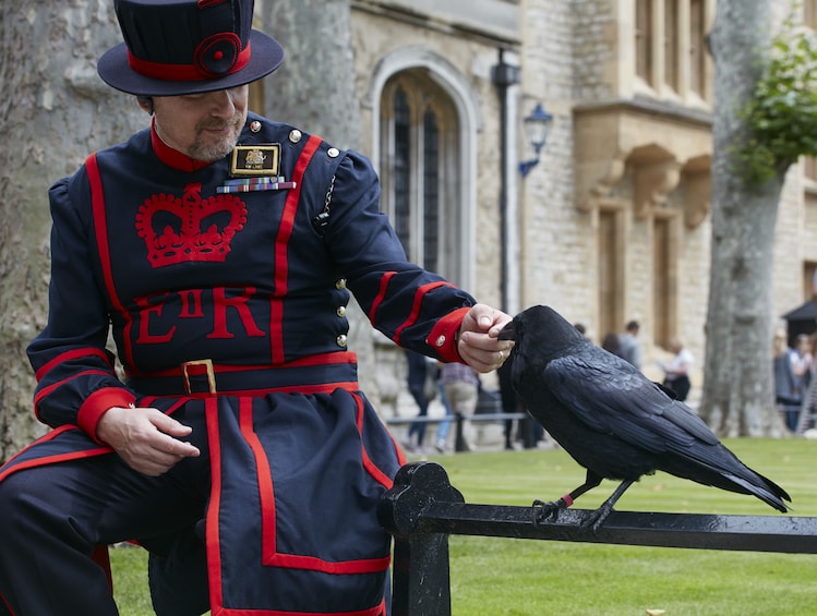 Tower of London guard sits next to large crow