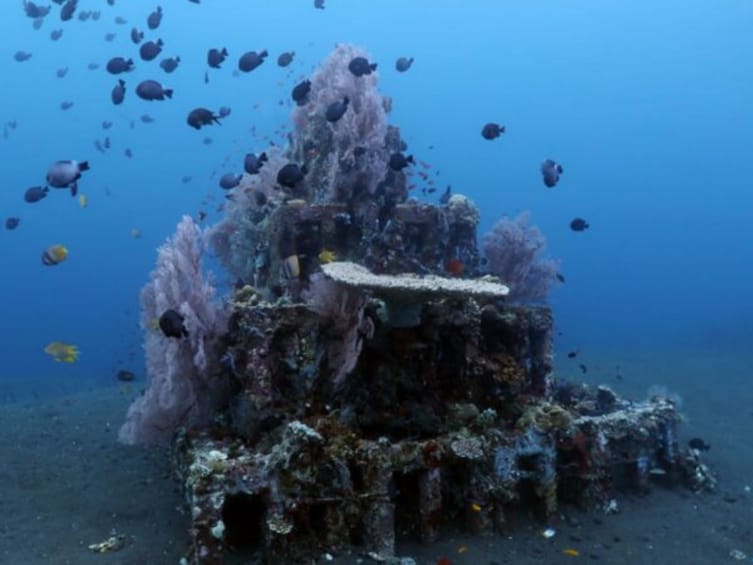 Bali Snorkeling Tour at Amed