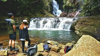 Lamington Full Day Tour