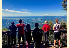 Springbrook Full Day Tour