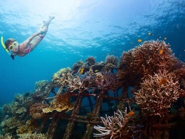 Excursion de plongée en apnée à Bali sur l'épave du Liberty Wreck Ship de T...