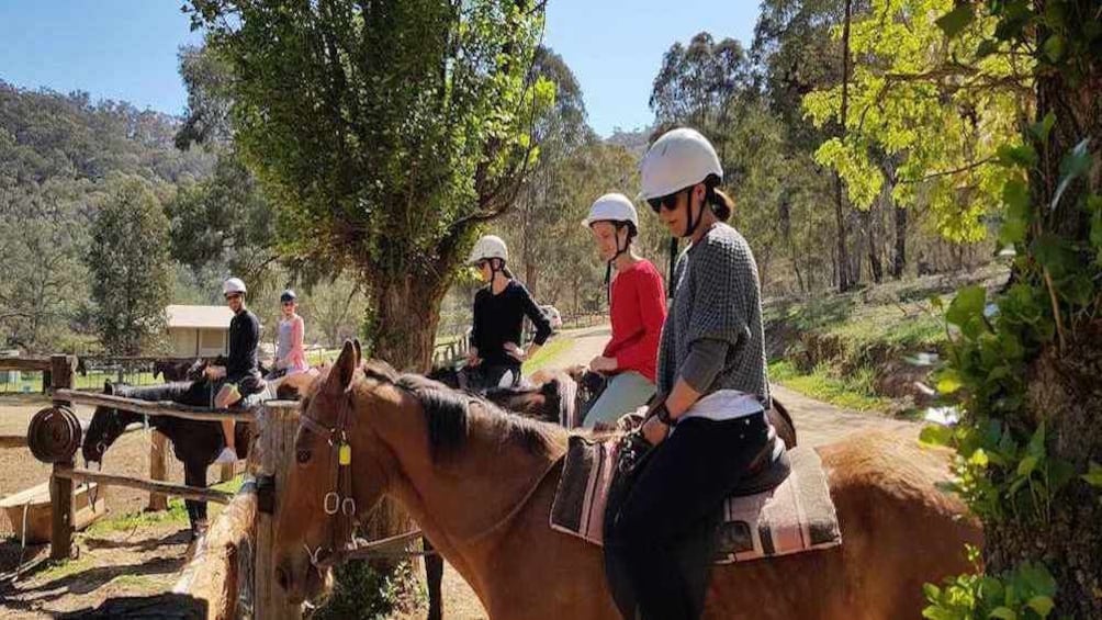 Horse Riding, Lunch and Winery Tour