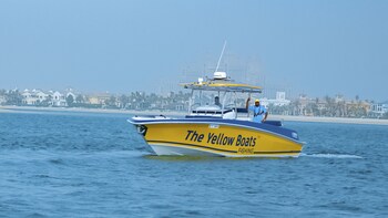 4 Hours Deep Sea Fishing Dubai - Private Charter