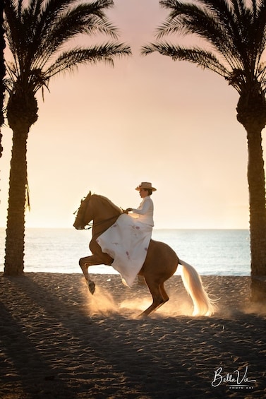 ANDALUSIAN HORSE - FLAMENCO SHOW