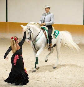 Aito andalusialainen hevosnäytös, jossa on flamencotanssi