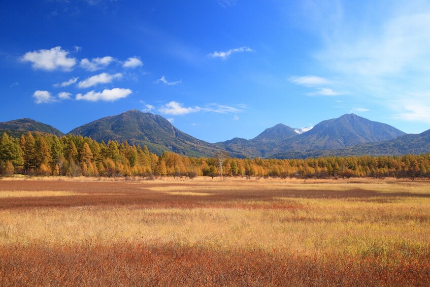 1-Night 2-Day Nikko National Park & UNESCO World Heritage