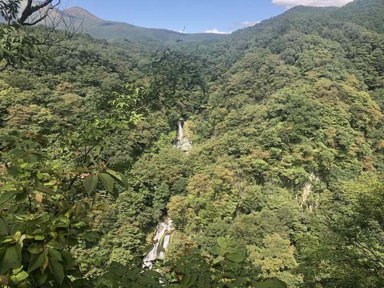 1-Night 2-Day Nikko National Park & UNESCO World Heritage