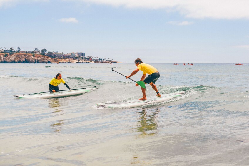 Learn to Stand Up Paddle Board in La Jolla
