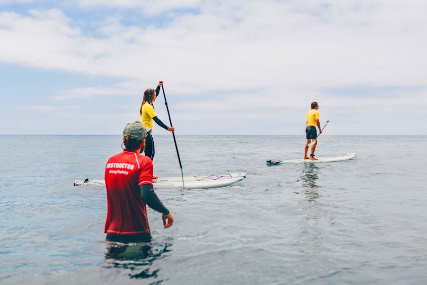 Learn to Stand Up Paddle Board in La Jolla