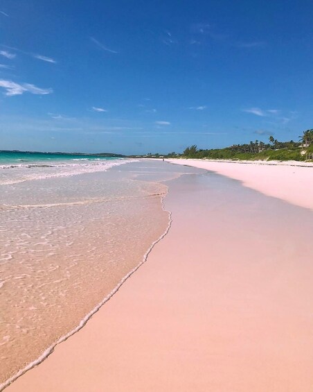 Bahamas Charter to Rose, Andros, Exuma or Eleuthera Island 