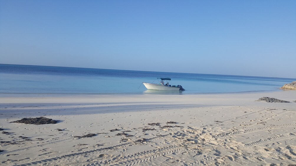 Bahamas Charter to Rose, Andros, Exuma or Eleuthera Island