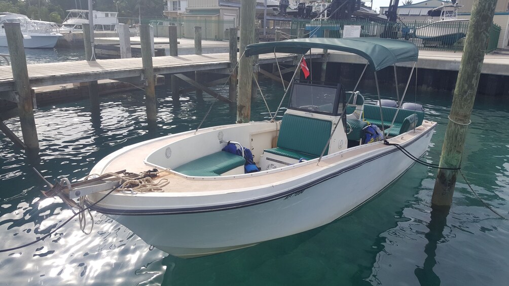 Bahamas Charter to Rose, Andros, Exuma or Eleuthera Island 