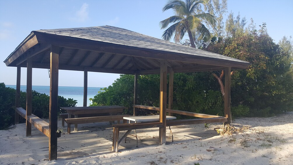 Bahamas Charter to Rose, Andros, Exuma or Eleuthera Island
