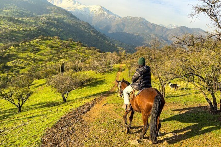 Authentic Andes Adventure: Private Horse Riding and Cheese & Wine