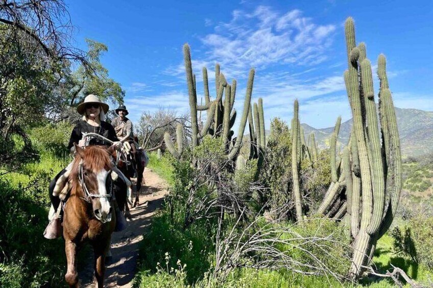 Authentic Andes Adventure: Private Horse Riding and Cheese & Wine