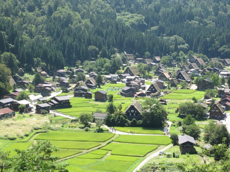 Show item 1 of 5. Day Trip to Shirakawago, Gokayama or Takayama from Kanazawa!