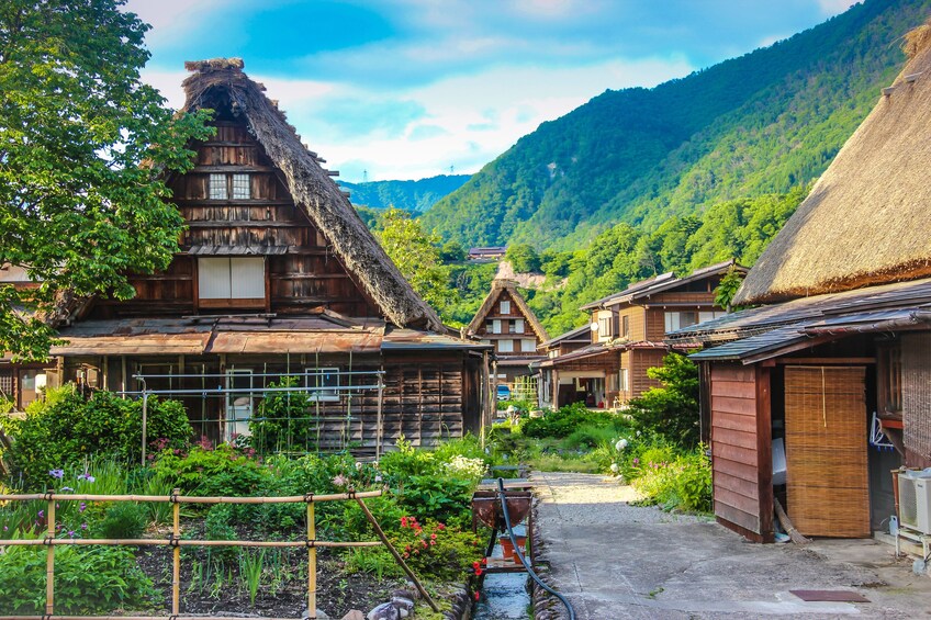 Day Trip to Shirakawago, Gokayama or Takayama from Kanazawa!