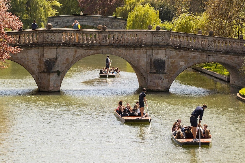 Traditional Cambridge Punting Tour