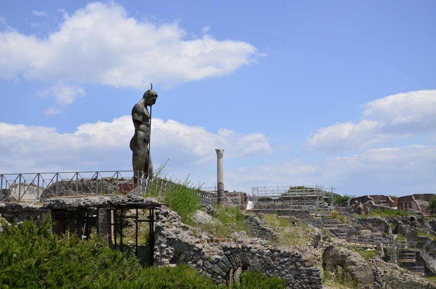 Full Day Private Tour of Pompeii and Naples from Rome by Car
